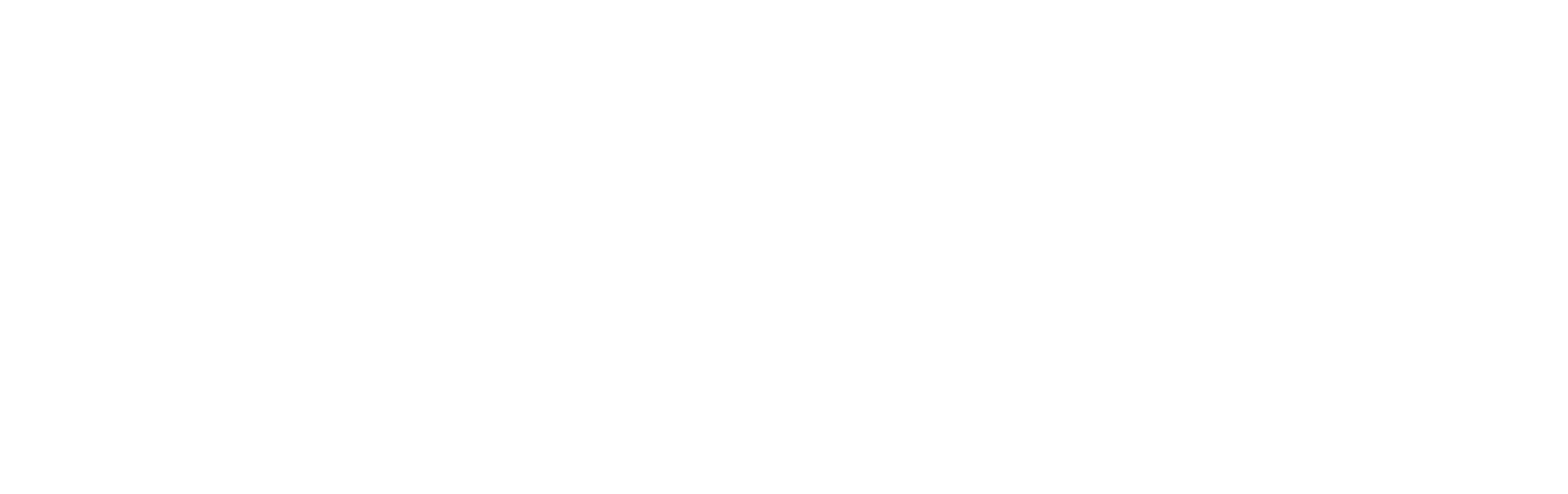 Izquierda Revolucionaria